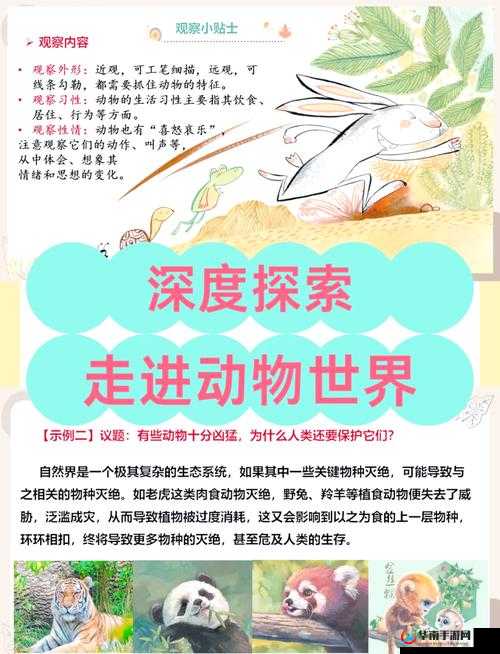 人与ZOO互动体验：探索动物世界的奇妙之旅，感受自然与生命的和谐共处