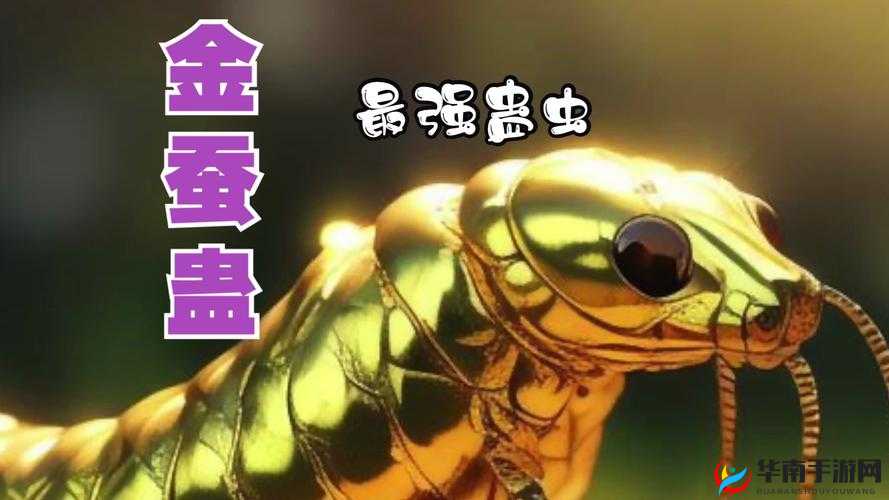 濡沫江湖金蚕蛊怎么得到，金蚕蛊获得方法介绍