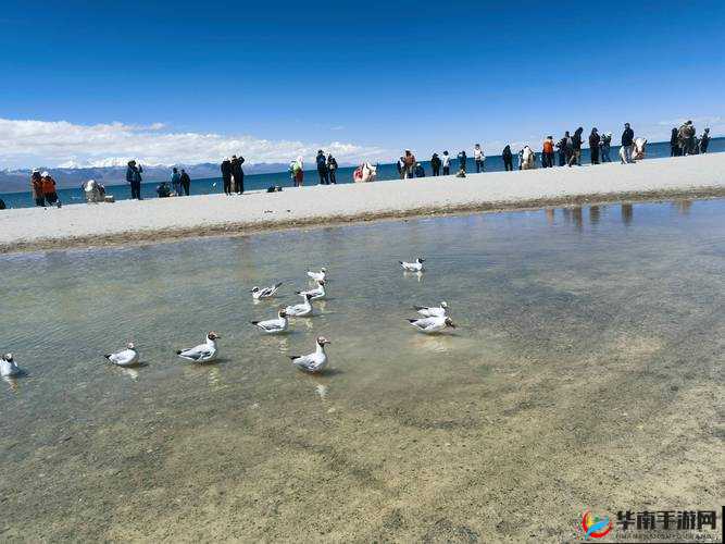 和女部长一起去旅行：探索未知的风景与心灵的深度对话