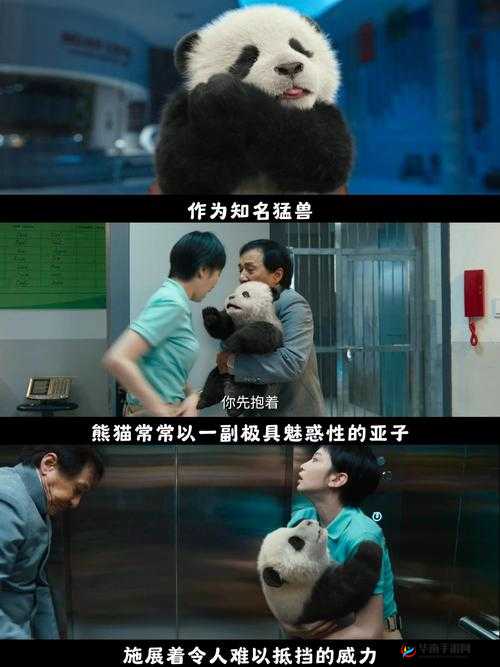 熊猫拉玛-丢失的玩具好玩吗？玩法简介及未来玩法革命预测