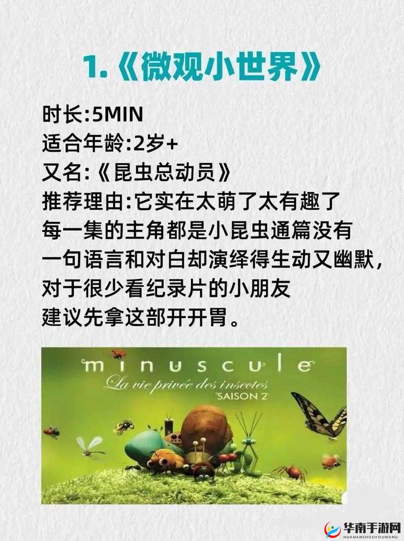 探索微观奇迹，小小看世界，一场别开生面的冒险之旅