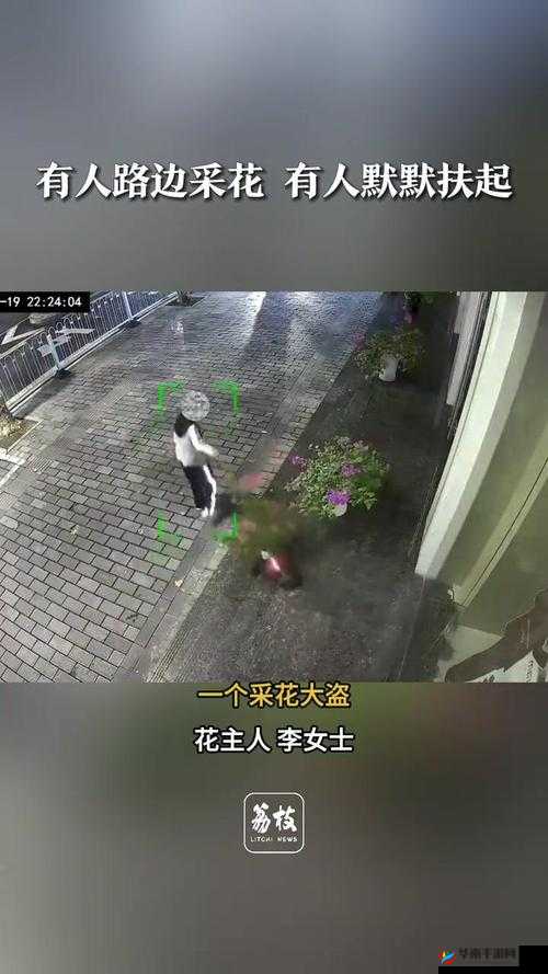 惊现性摘花视频揭秘背后的真实故事与惊人细节,网友热议不断