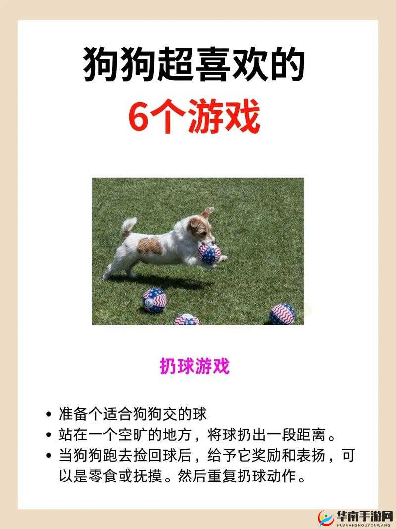 小狗女友游戏深度体验：如何与虚拟宠物建立真实情感纽带？