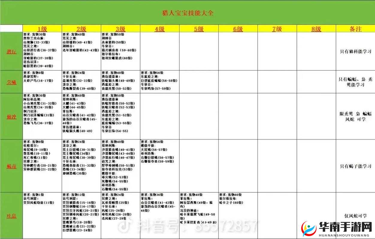 新全职猎人强化石功能详解 新人必看