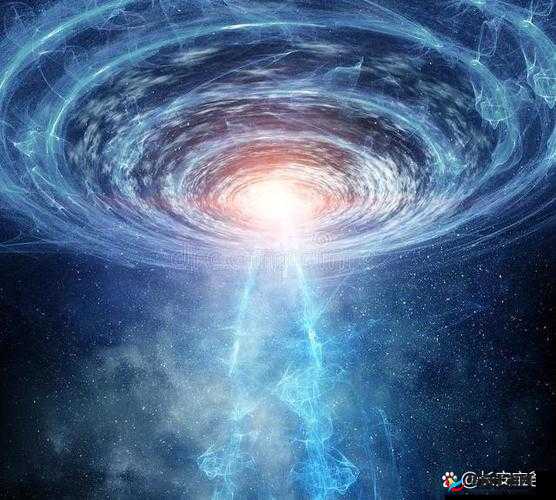 10204 论坛究竟有何独特之处？探索其奥秘与价值，快来一探究竟