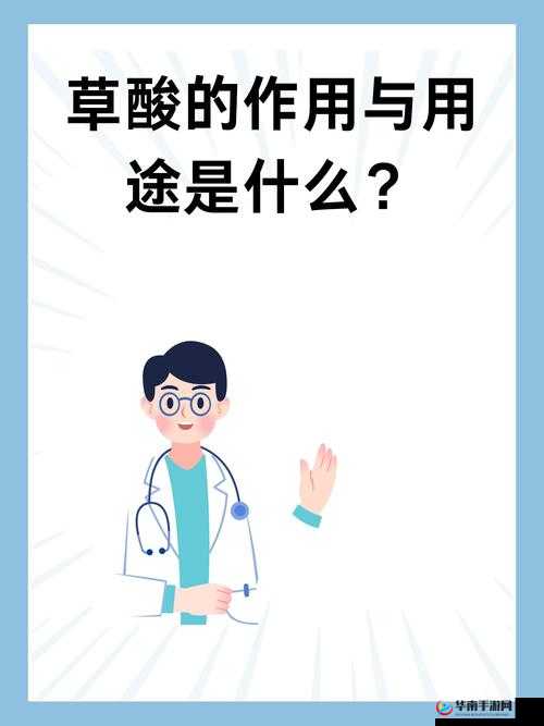 四川一级 BBBBBBBBBB 是什么？有什么特点和用途？