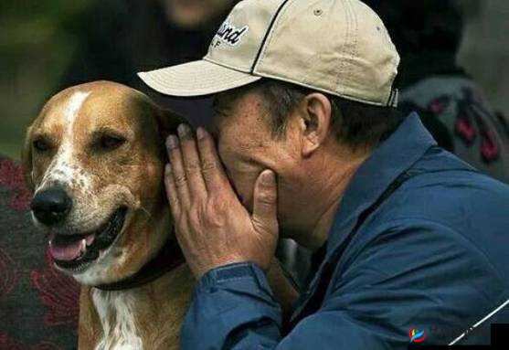 男的和女的在拔萝卜，旁边还有一只狗在看着，发生了什么？