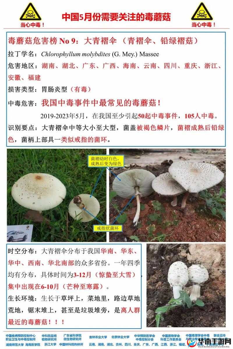 好呀，请您给我提供一下蘑菇旧版本相关的具体描述或内容等信息，以便我生成