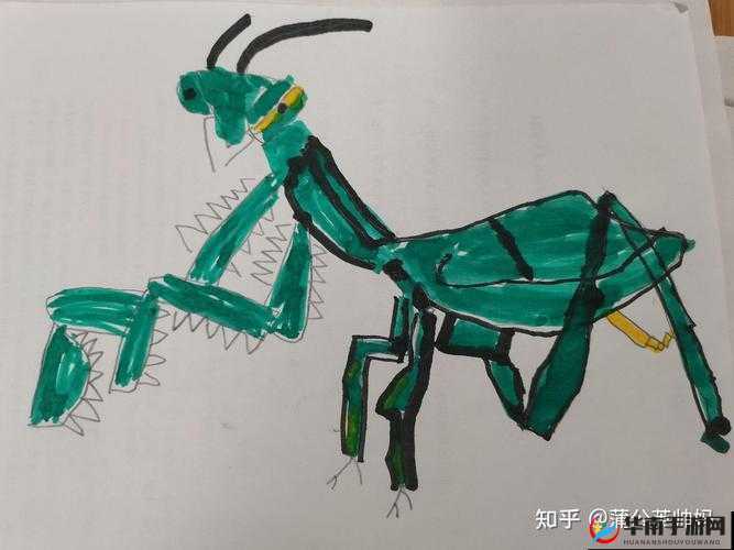 黑土拔萝卜奥义图究竟有何奥秘？深度解析其背后的精彩与意义