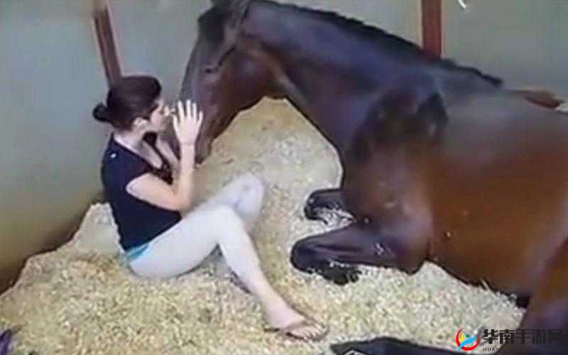 美女与大公犳交酡：探索神秘动物与人类之间的非凡友谊与互动故事