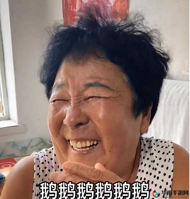 国产曰肥老太婆无遮挡的真实生活记录：揭秘老年群体的日常与挑战