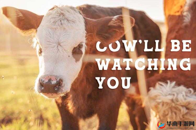 男同志与牛 20XXXⅩ之间有着怎样的奇妙关联？探索背后的故事与意义