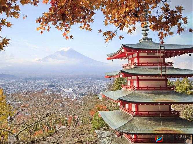 Japanese 69日本到底是什么意思？为何它在网络上引发关注？一起来探秘