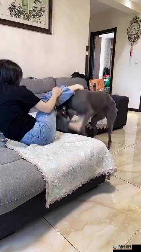 为什么两个奶头会打得红肿？这些惩罚真的合适吗？