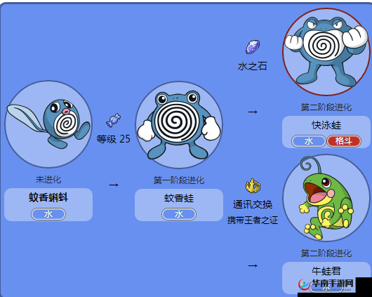 能量起源宠物小百科，蚊香蝌蚪篇深度解析