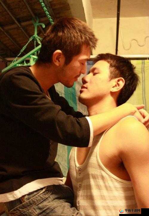 Japan中老年GayOldH片深度解析：文化背景与情感表达的真实写照