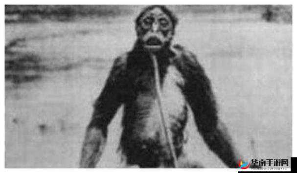 山里人家天送三兄弟:探秘深山奇人,揭开他们的神秘面纱