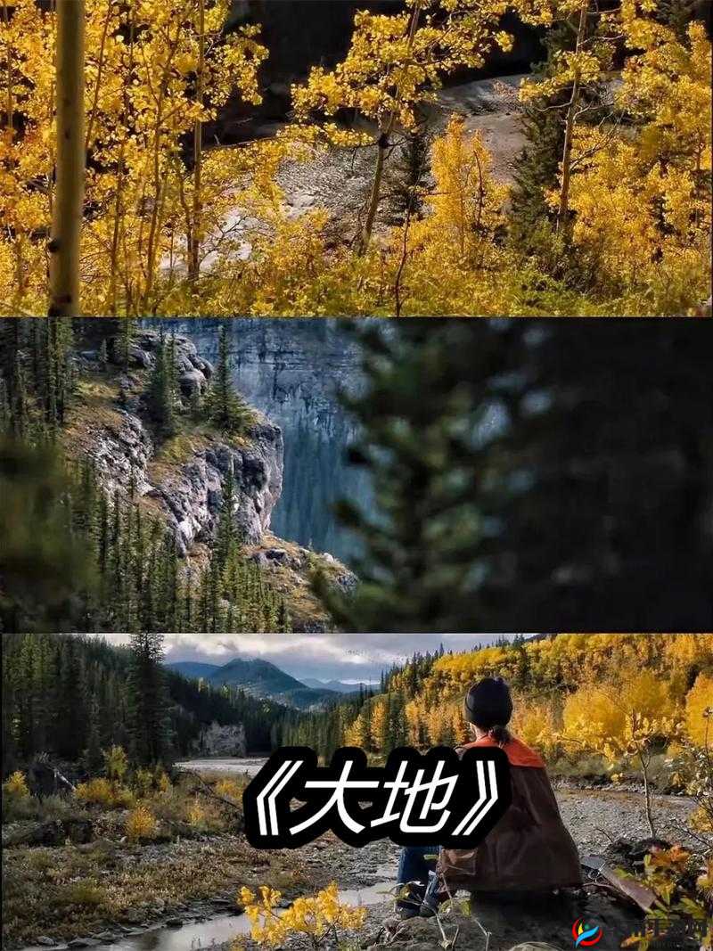 大地资源二中文在线播放：高清完整版免费观看，剧情解析与角色深度剖析