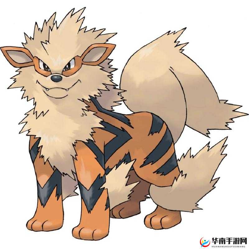 口袋妖怪决斗神秘精灵大曝光,风速狗篇