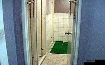 日本偷窥狂在浴室中偷拍女性,是否应该受到法律制裁?