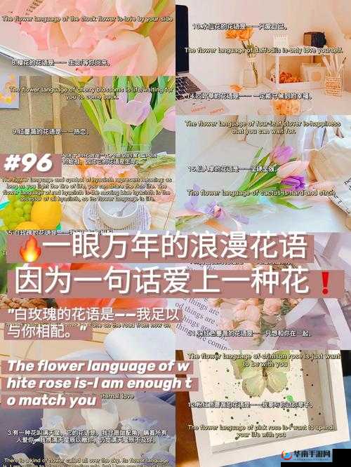 大话许仙里的浪漫花语，好友赠花深度解析