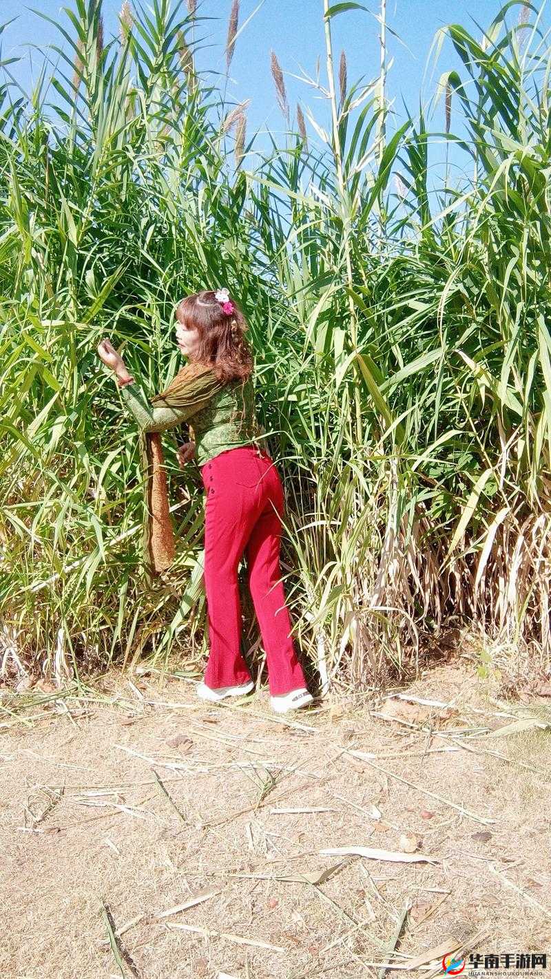 花溪村留守妇女们的日常生活揭秘：她们的坚韧与希望