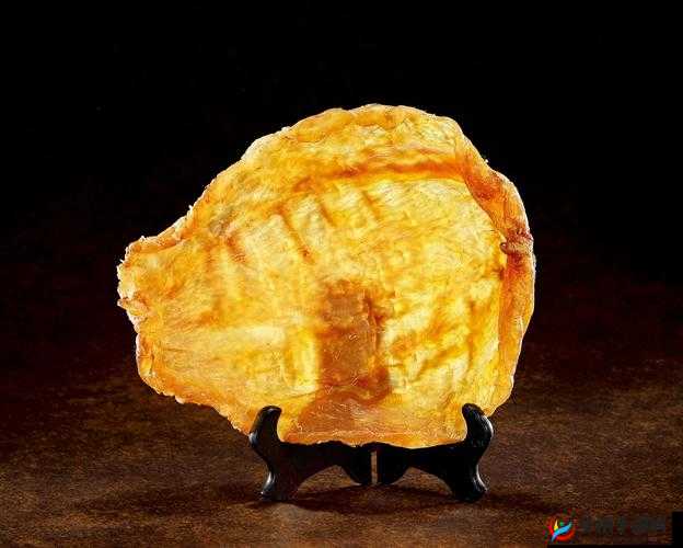 动物胶配方视频高清观看哪里有？全网搜索最佳观看资源或者：想看动物胶配方的高清视频？这里提供最佳观看渠道