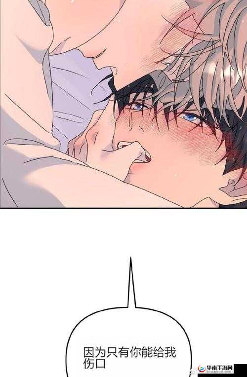 白洁全传在线阅读：完整章节免费阅读，白洁传奇故事