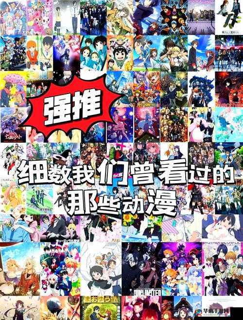 樱花动漫-专注动漫怎么样?有哪些特色和优势?为何深受动漫迷喜爱?