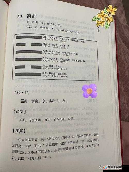 有仙气八卦玩法详解，离卦——底层逻辑与操作映射深度剖析