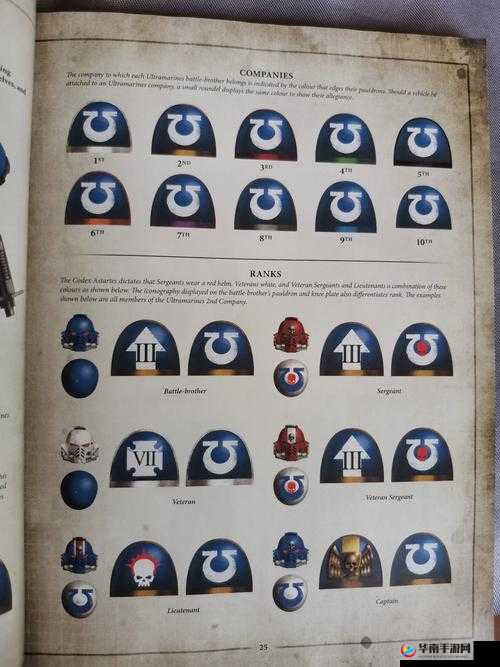 谁强谁在上面，星际裂痕军衔系统在资源管理中的重要性及优化策略