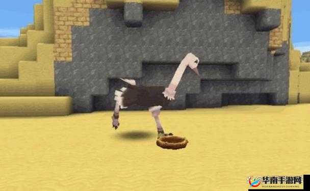 迷你世界鸵鸟怎么样？鸵鸟驯服方法介绍