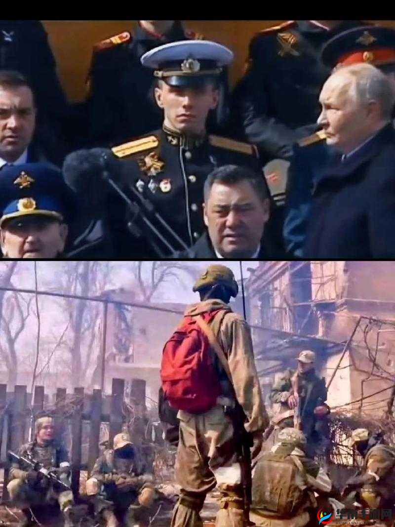 指挥官英雄介绍，布迪沙的全面解析