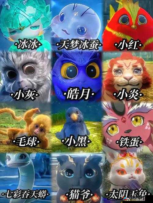 月光之城奇遇记，萌宠大揭秘