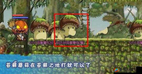 冒险王3D蘑菇王国副本攻略