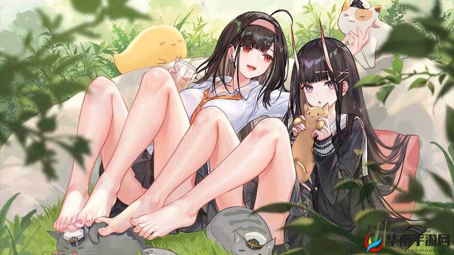 为什么碧蓝航线PC 版在网络上如此受欢迎？