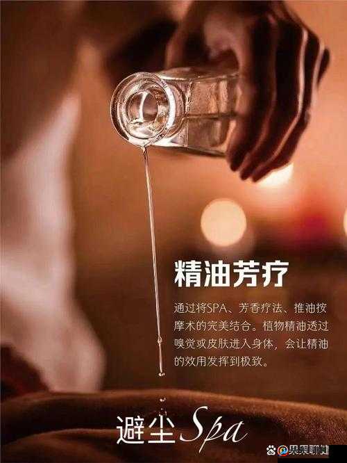探索私人按摩精油的独特魅力：如何选择最适合你的私人按摩精油，提升放松体验