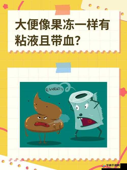 排便时排出一坨果冻粘液带血丝，可能是什么健康问题的信号？