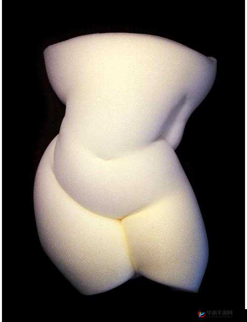 最新最年轻 metart 裸体人体，其展现方式有何独特之处？最新最年轻 metart 裸体人体，为何能引发如此关注？最新最年轻 metart 裸体人体，背后蕴含着怎样的艺术魅力？