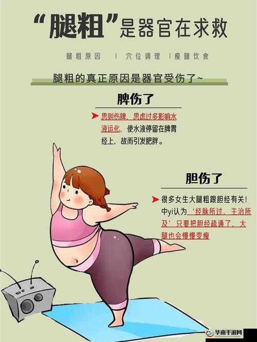 为什么人的腿重量只占体重一小部分？