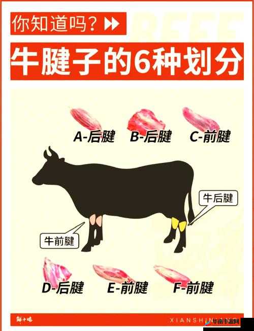 请问日牛的正确理解是什么？关于日牛你需要知道这些重要内容