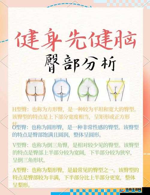 屁股又大又圆又肥岳：揭秘如何通过健康饮食和锻炼塑造完美曲线