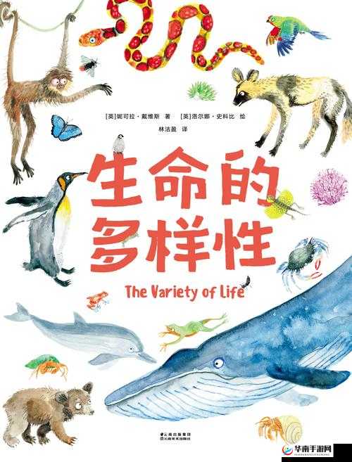 女人 ZOZ8 人 c 交 18:探索性行为的多样性与安全性