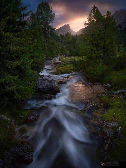 探索FvreexⅩ性欧美HD高清画质下的视觉盛宴：深度解析其独特魅力与观影体验