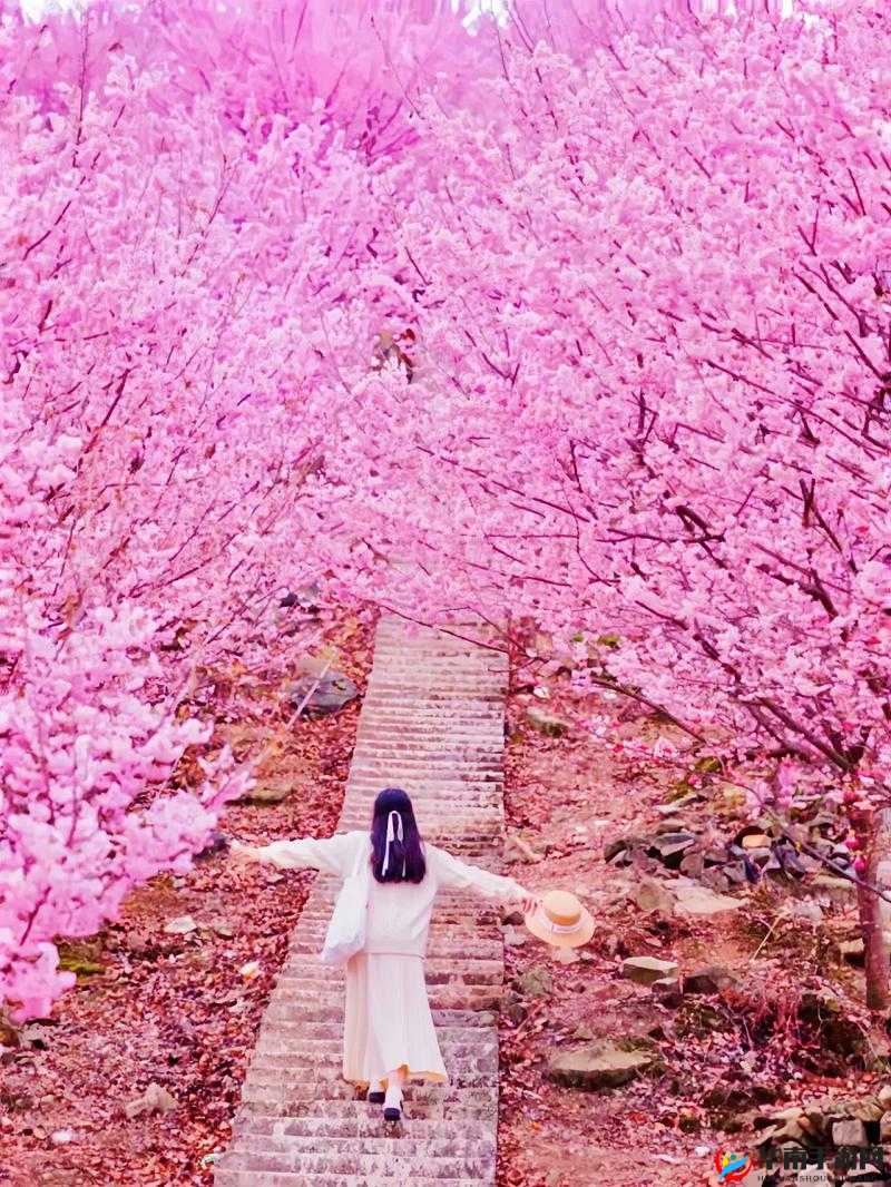 相亲对象是学生樱花，如何开启一段浪漫美好的恋爱之旅？大家快来探讨