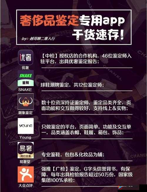 鉴定师app免费下载安装最新版：轻松获取专业鉴定工具，提升您的鉴定体验