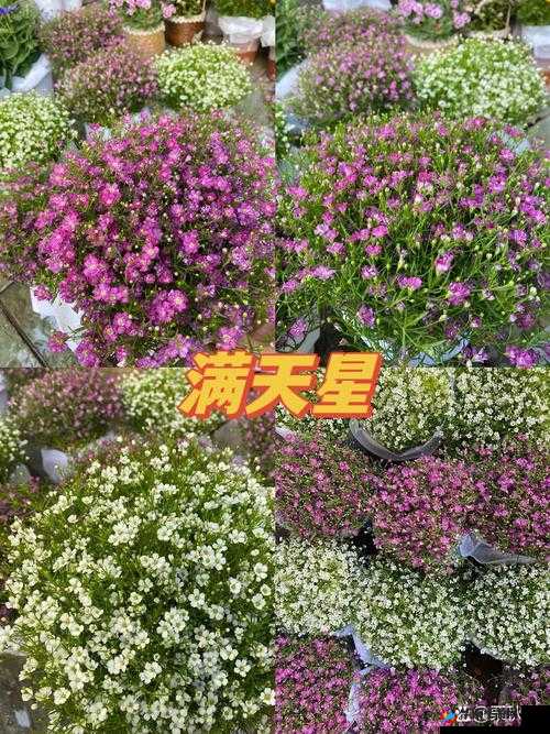 美国满天星十大巅峰之作，你看过几部？