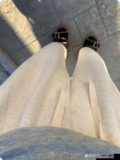 一条腿的重量是多少?这个问题困扰了我很久,你能帮我解答吗?