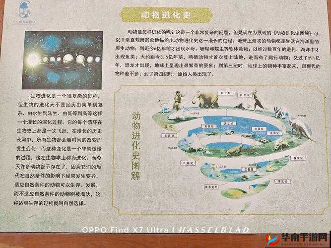 人类如何帮助精灵村繁衍后代？揭秘古老传说与现代科学的奇妙结合