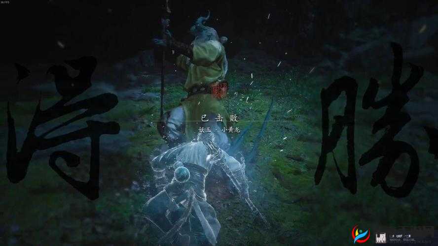 如何解锁究极进化之谜？黄龙宝藏全攻略大揭秘！